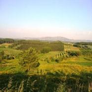 Principais objectivos