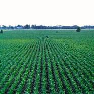 Principais objectivos