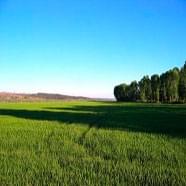 Principais objectivos